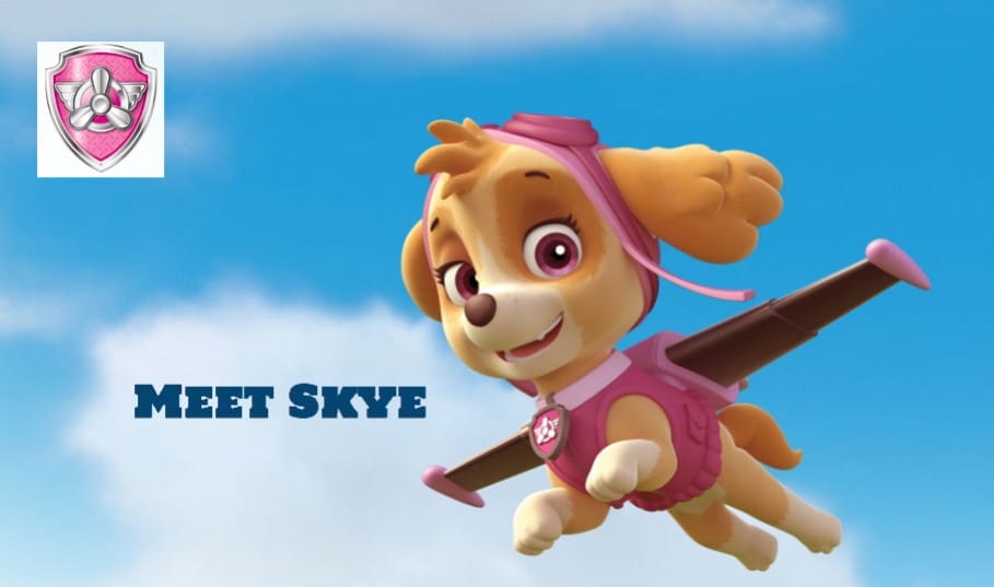 Skye Of Paw Patrol Mr Toys Toyworld