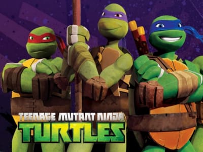 Things You May Not Know about the Teenage Mutant Ninja Turtles